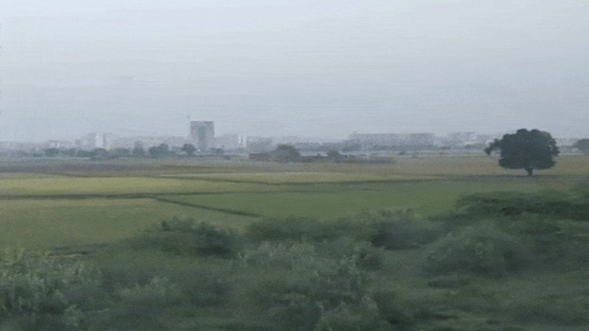 पंजाब-चंडीगढ़ में 28 फरवरी तक मौसम ड्राई:अमृतसर में कोहरा छाया, दिन में तेज धूप निकलेगी, अधिकतम तापमान बढ़ेगा